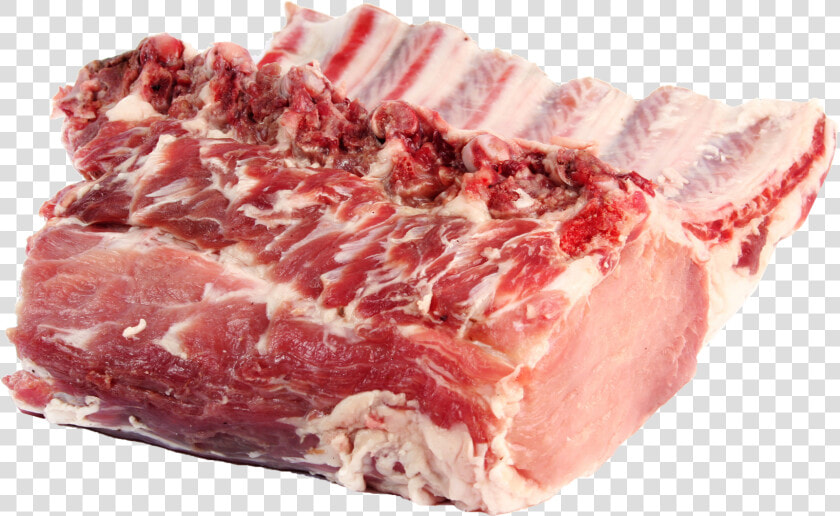 Raw Pork Ribs Png Royalty free Image   Raw Pork Png  Transparent PngTransparent PNG