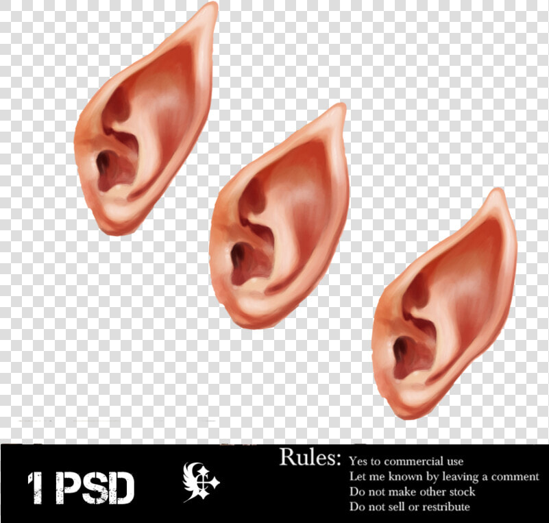 Com Elf Ear By Cela   Elvish Ear Png  Transparent PngTransparent PNG