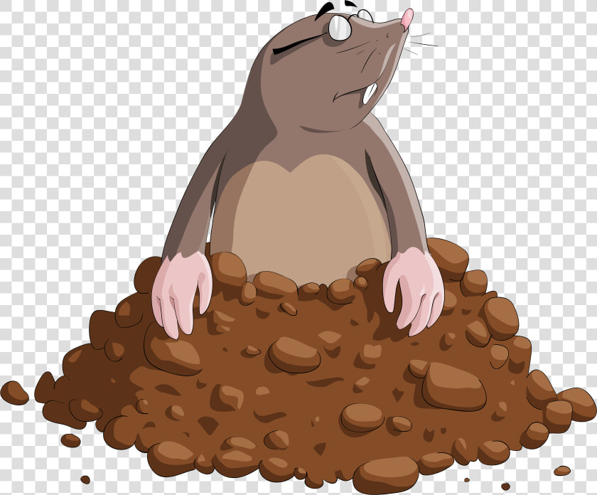 Cartoon Clipart Image Gallery   Mole Clipart Png  Transparent PngTransparent PNG