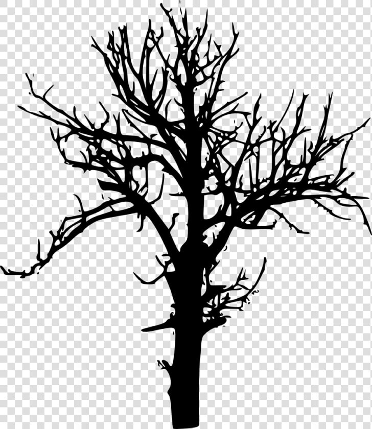 Tree silhouette   Tree Silhouette No Background  HD Png DownloadTransparent PNG