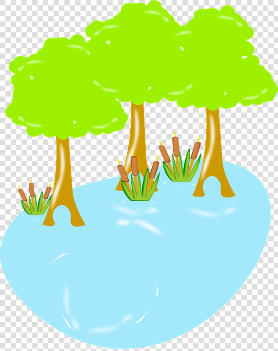 Swamp  Biology  Wildlife  Nature  Wetland  Water  Wild   Illustration  HD Png DownloadTransparent PNG