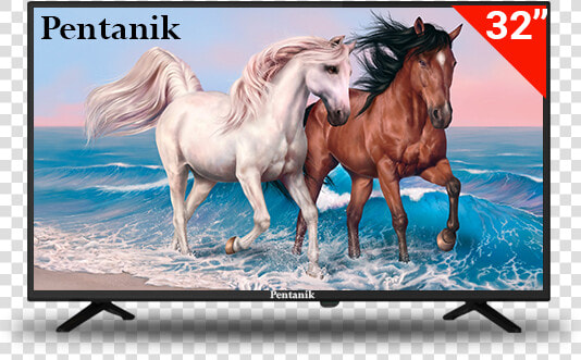 Pentanik Basic 32 Inch Led Tv   Horses On The Beach Painting  HD Png DownloadTransparent PNG