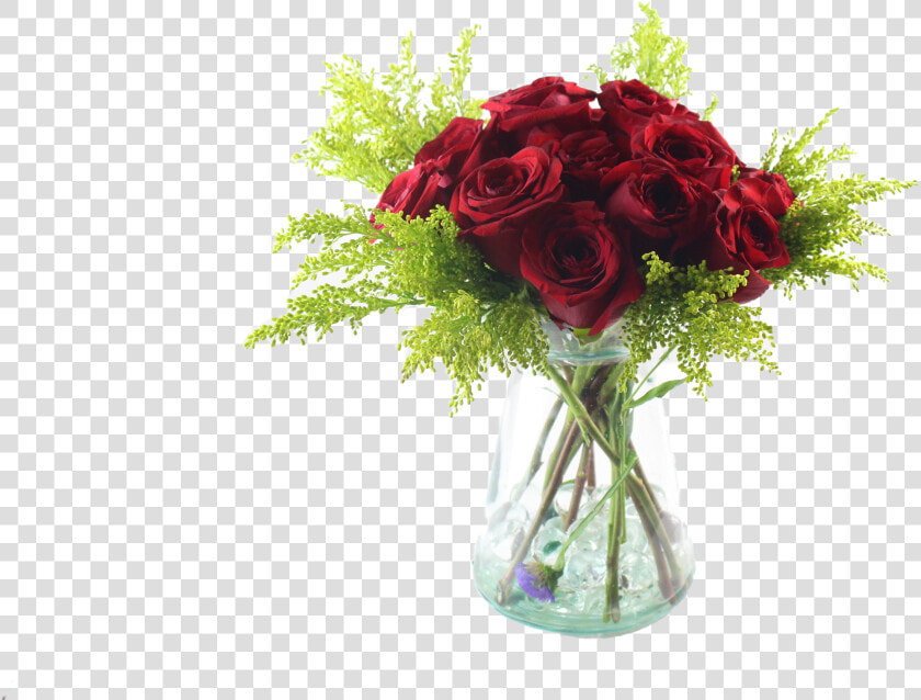 Floribunda  HD Png DownloadTransparent PNG