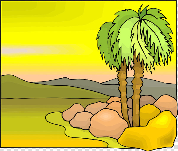 Tropical Tree Color Illustration   Sabal Palmetto  HD Png DownloadTransparent PNG