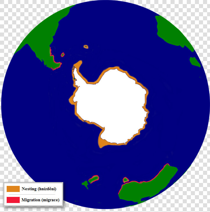 The Distribution Of The Adelie Penguin   Adelie Penguin Migration Map  HD Png DownloadTransparent PNG