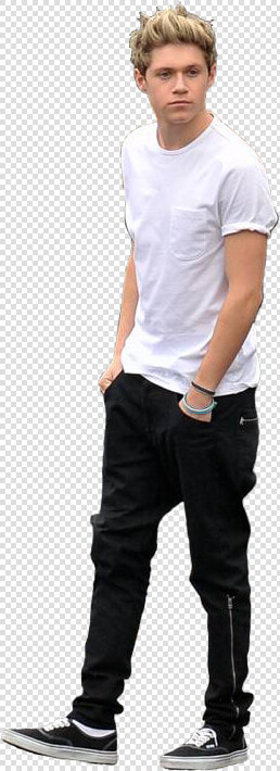 One Direction Niall Horan Png  Transparent PngTransparent PNG