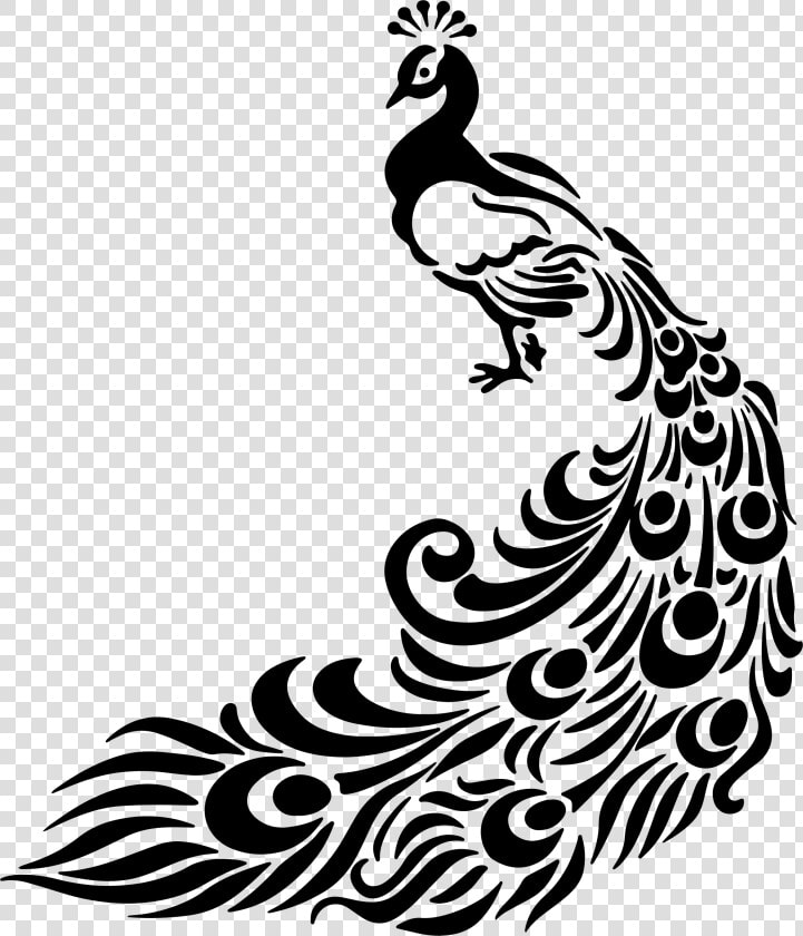 Drawing Line Art Peafowl Clip Art   Black And White Peacock Art  HD Png DownloadTransparent PNG