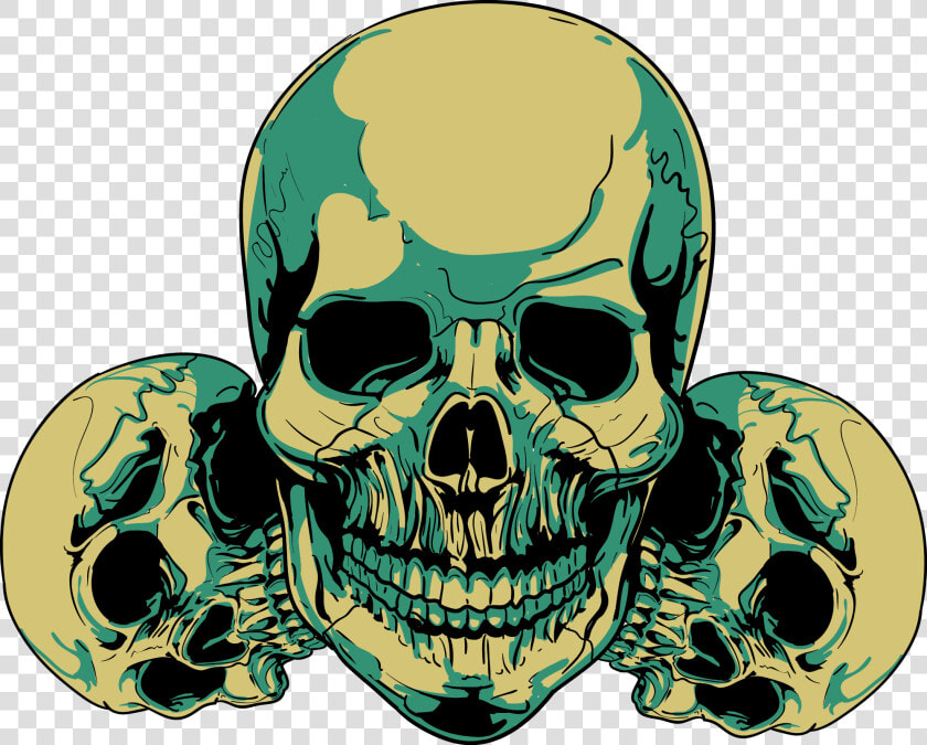 Skull Clip Art   Human Skull In Half  HD Png DownloadTransparent PNG