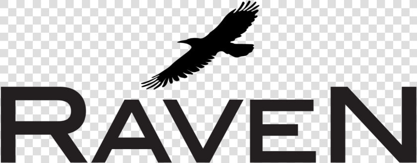 Raven Is A Flexible And Multi purpose Uncertainty Quantification    Bird Wings  HD Png DownloadTransparent PNG