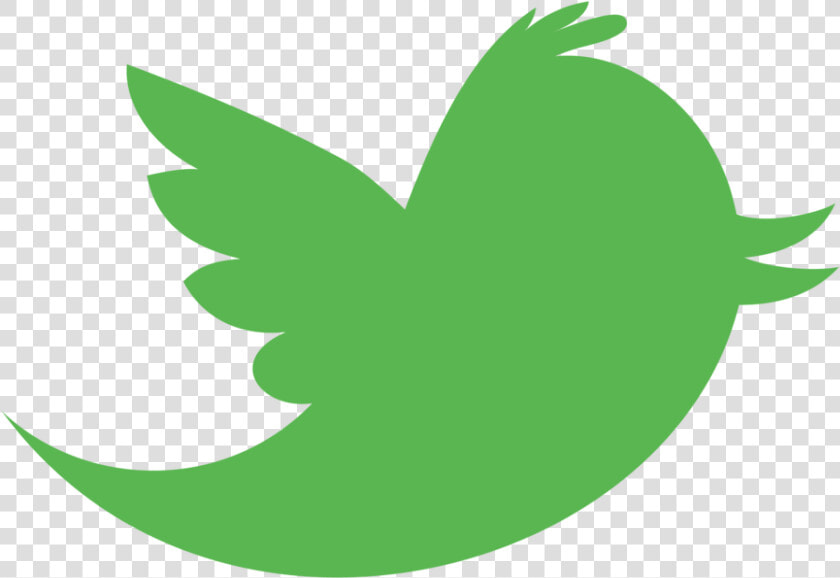 Transparent Twitter Png Transparent   Twitter Green Logo Png  Png DownloadTransparent PNG