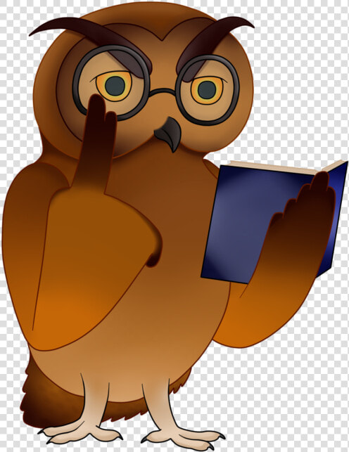 Owl Clip Art Owlet   Owl  HD Png DownloadTransparent PNG