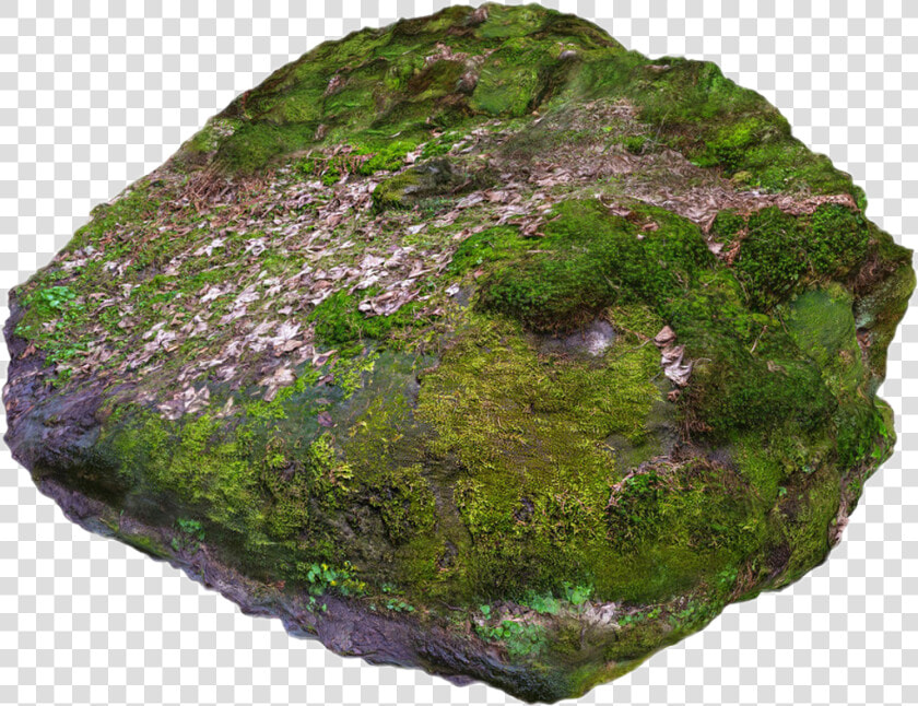 Rock With Moss Png   Png Download   Mossy Rock 3d Model  Transparent PngTransparent PNG