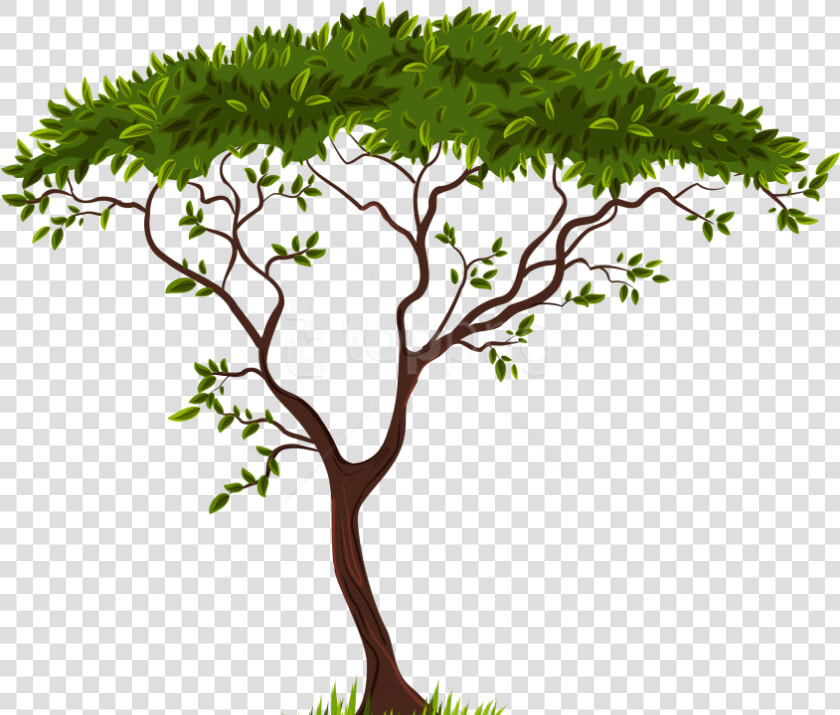 Free Png Download Exotic Tree Clipart Png Photo Png   Tree Clipart Transparent Background  Png DownloadTransparent PNG