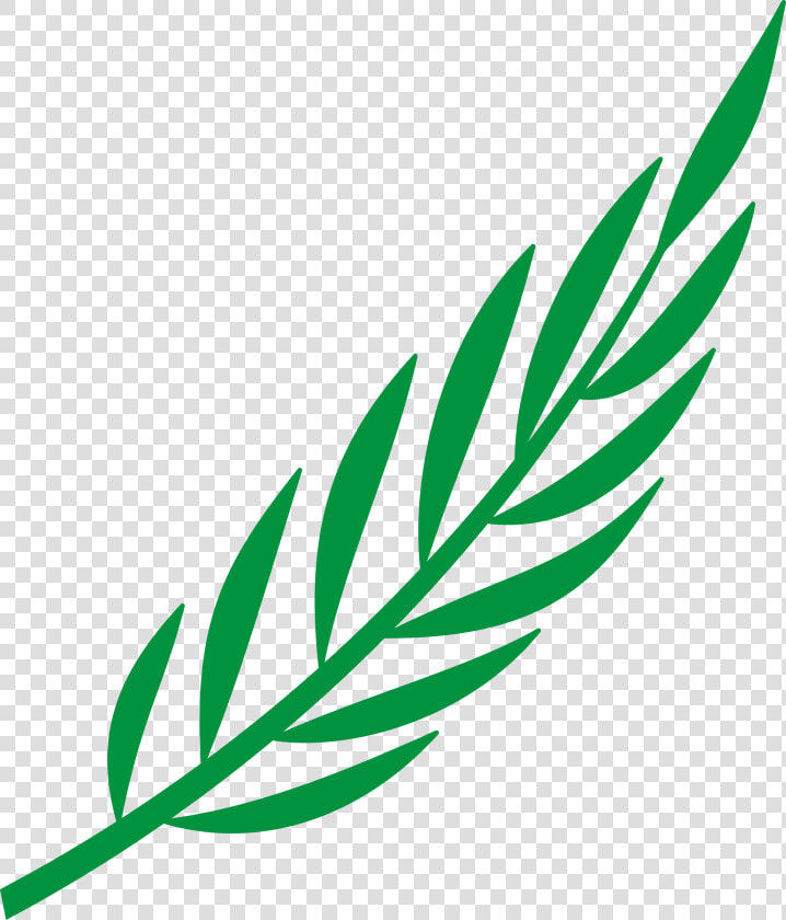 Branch Laurel Leaf Leafy Leaves Png Image   Cape Verde Coat Of Arms  Transparent PngTransparent PNG