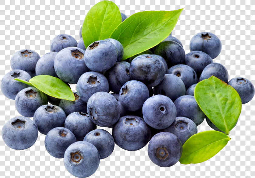 Blueberry Png Free Download   Blueberries Clip Art  Transparent PngTransparent PNG