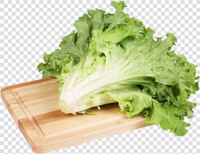 Green Salad Lettuce Image Hd Image Clipart   Imagens De Um Alface Png  Transparent PngTransparent PNG