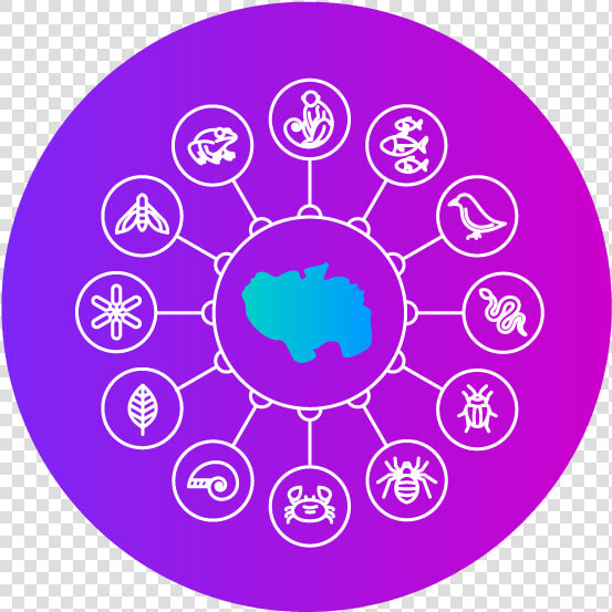 Biodiversity   Circle  HD Png DownloadTransparent PNG