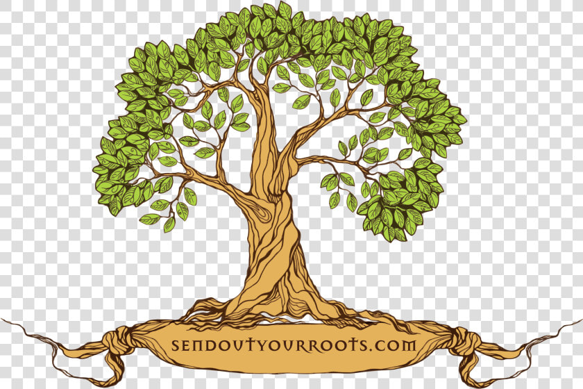 Tree Family Reunion Logo  HD Png DownloadTransparent PNG