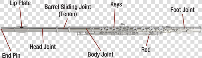 Flute Diagram Image   Diagram Of The Flute  HD Png DownloadTransparent PNG