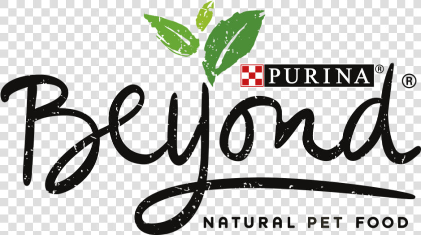 Beyond Purina  HD Png DownloadTransparent PNG