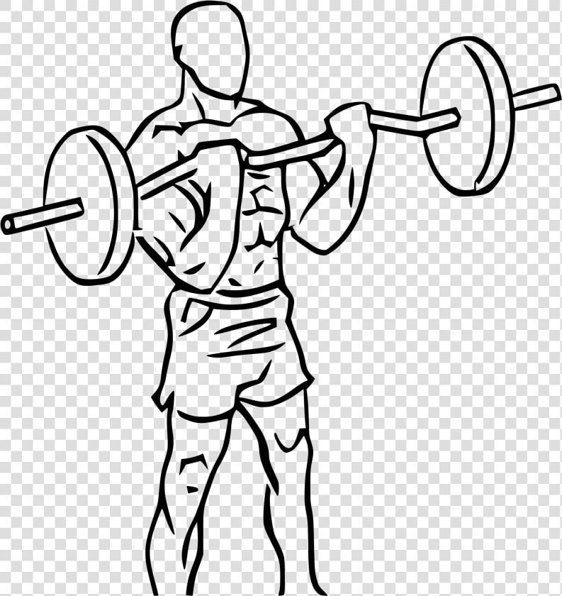 Transparent Lifting Weights Clipart   Ez Bar Curl Png  Png DownloadTransparent PNG