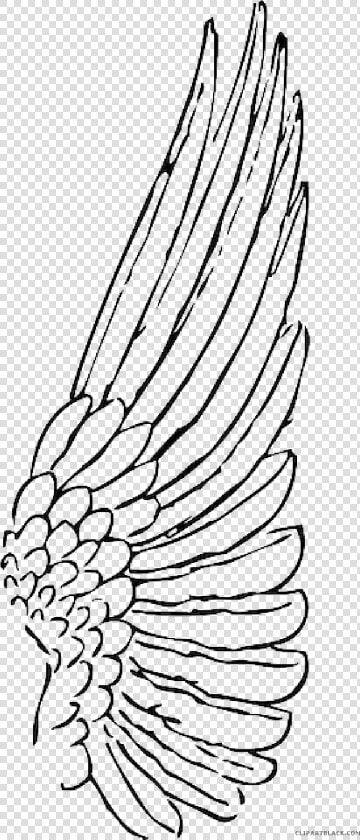 Feather Clipart Animal Feather Animal Transparent Free   Angel Wings Side View Drawing  HD Png DownloadTransparent PNG