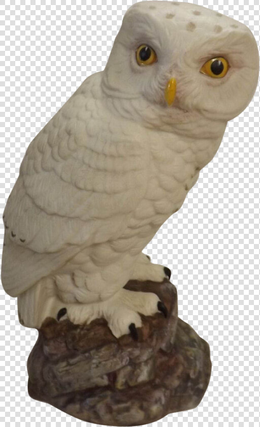 Snow Owl Png  porcelain Snowy Owl   Snowy Owl  Transparent PngTransparent PNG