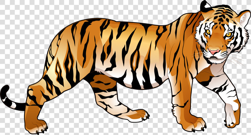 Animal Clipart Tiger Bengal   Transparent Background Tiger Clipart  HD Png DownloadTransparent PNG