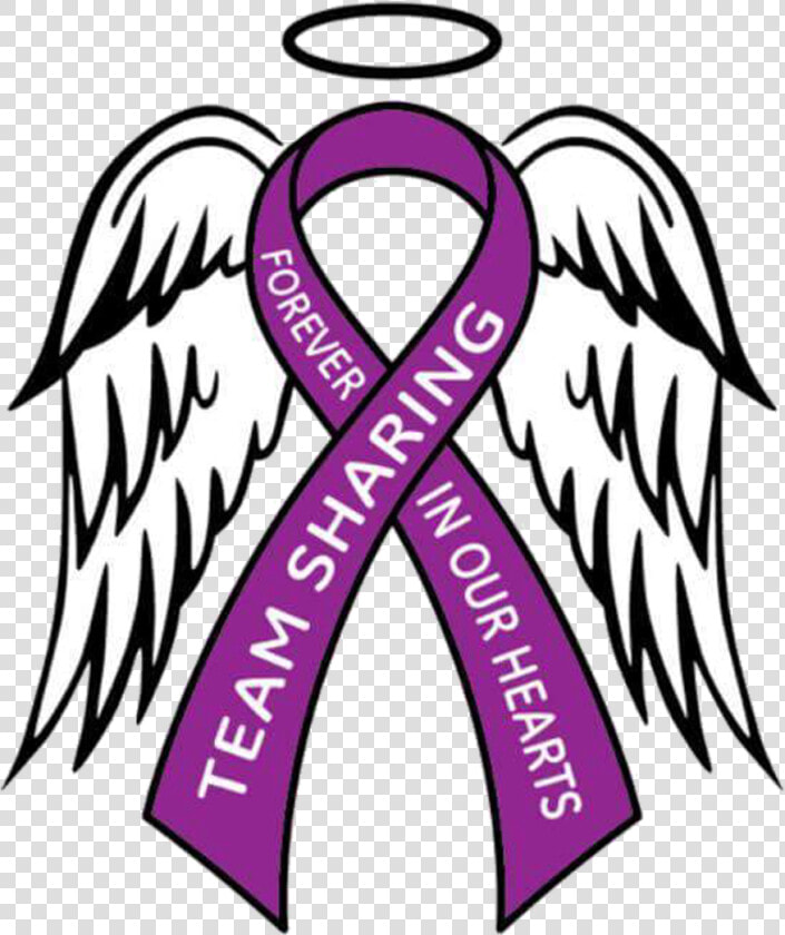 Team Sharing Grief Support For Parents Who Have Lost   Breast Cancer Ribbon With Wings Clipart  HD Png DownloadTransparent PNG