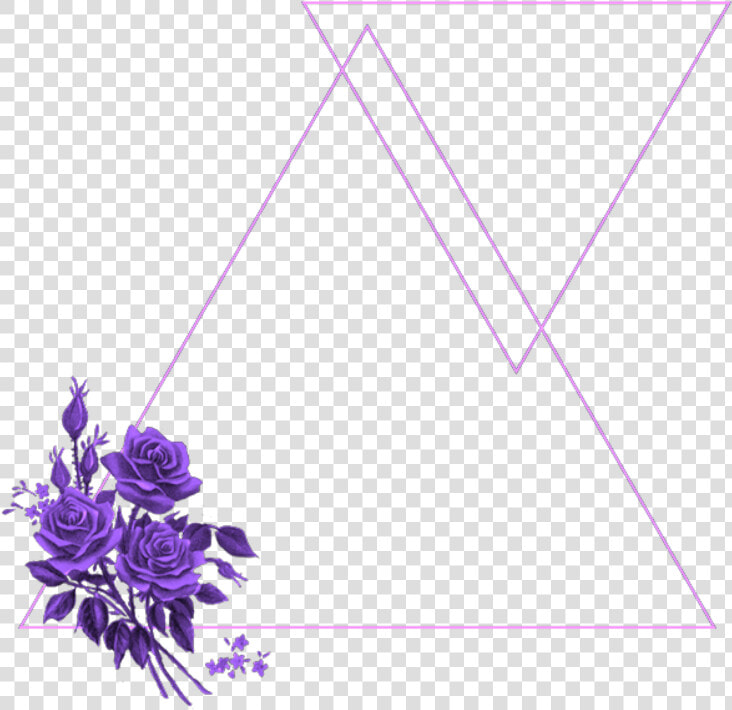  mq  purple  flowers  frame  frames  border  borders   Purple Shine  HD Png DownloadTransparent PNG