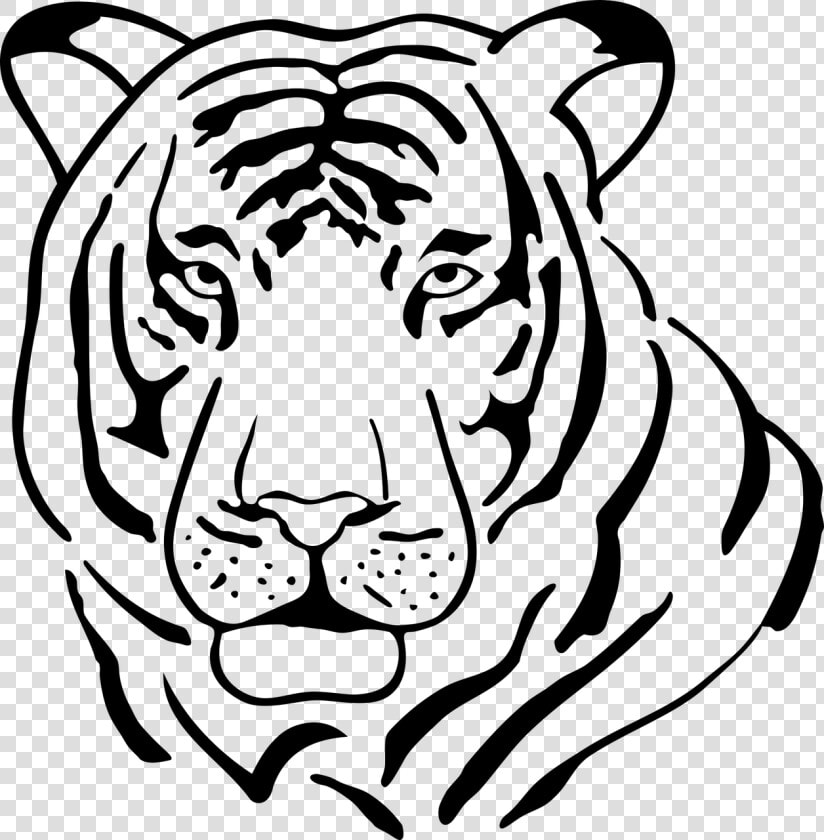 Black Vector White Tiger   Tiger Symmetry Worksheet  HD Png DownloadTransparent PNG