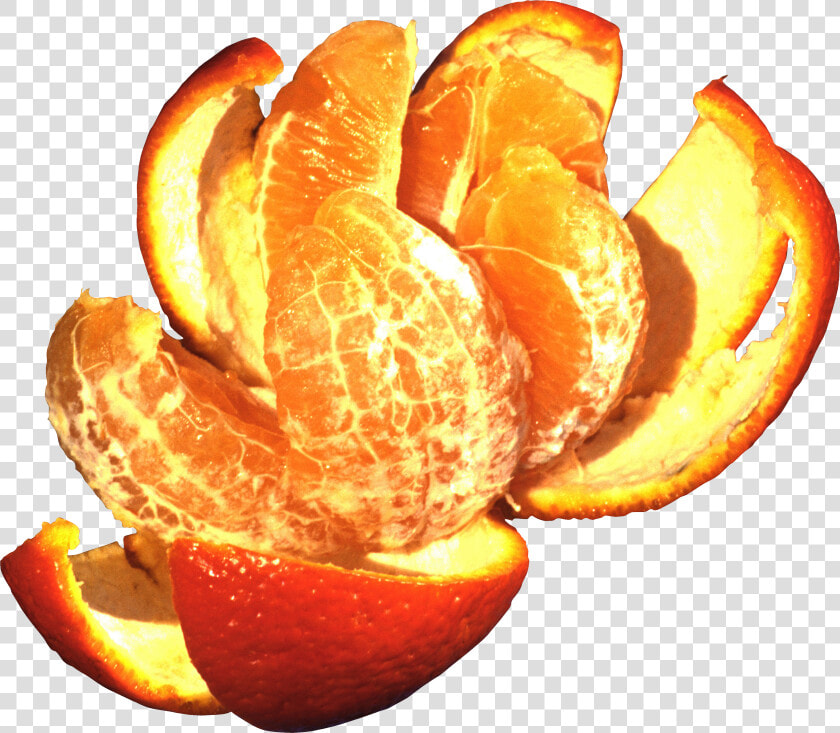 Mandarin Png   Orange  Transparent PngTransparent PNG