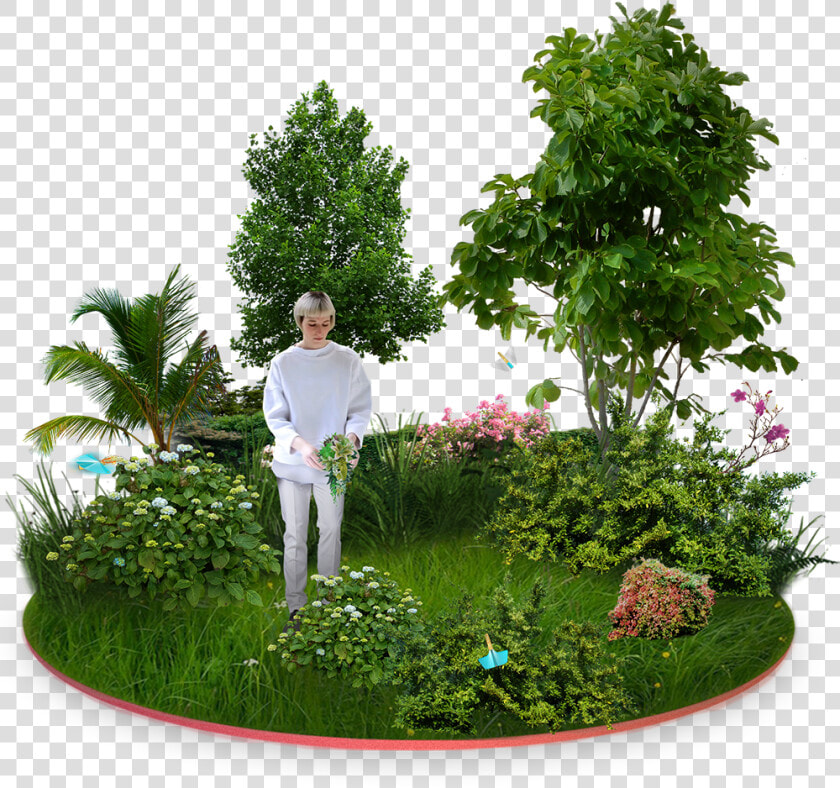 Next Gardens Lucas Teixeira Png Black And White Download   Transparent Guava Tree Png  Png DownloadTransparent PNG