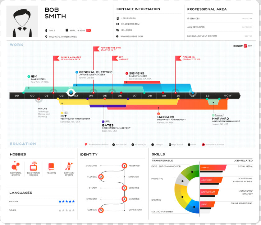 How To Make Digital Resume   Infographic Resume  HD Png DownloadTransparent PNG