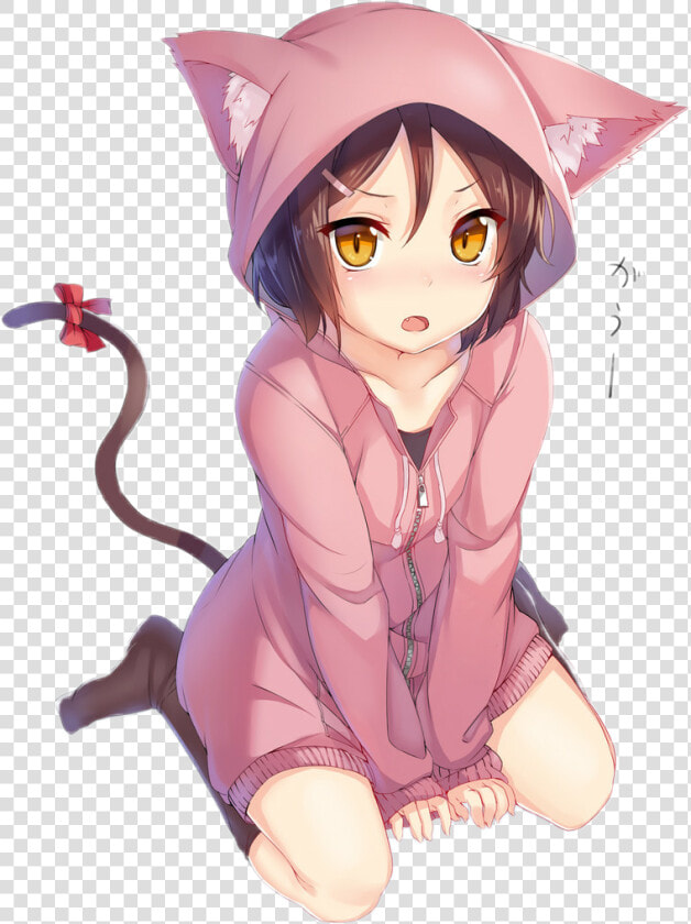  animegirl  cat  neko  cute  kawaii  nekogirl  catjacket   Neko Anime Girl Cat Cute  HD Png DownloadTransparent PNG