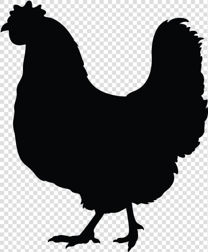 Simple Rooster Silhouette   Simple Chicken Black And White Clipart  HD Png DownloadTransparent PNG