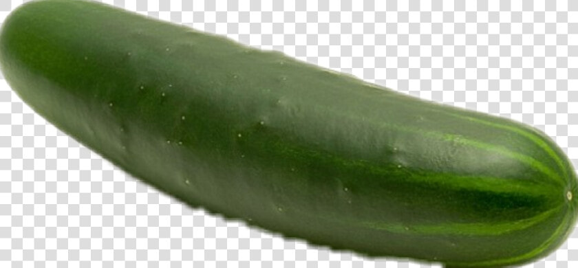  pepino   Dunyanin En Buyuk Salataligi  HD Png DownloadTransparent PNG