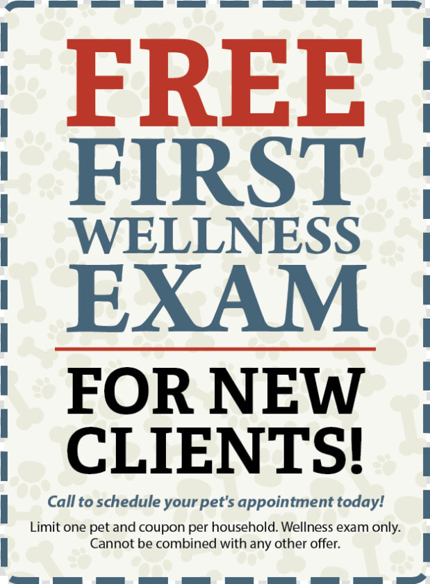 Free First Exam For New Clients   Wilderness Society  HD Png DownloadTransparent PNG