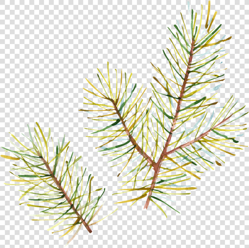 Hand Painted Half Withered Leaves Png Transparent   Aquarelle Christmas  Png DownloadTransparent PNG