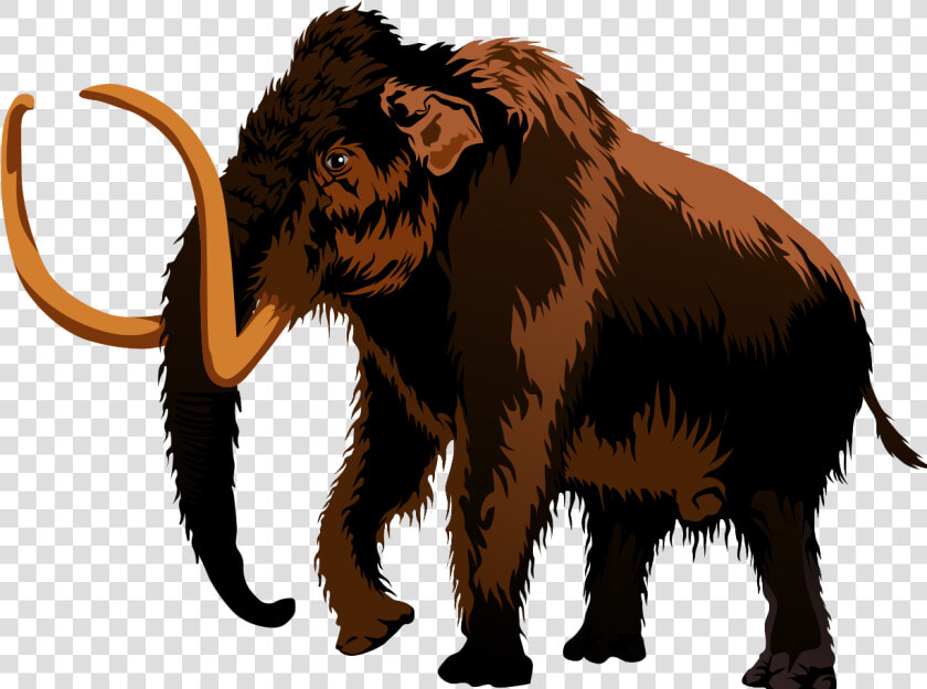 Mammoth Clip Art  amp  Images   Mammoth  HD Png DownloadTransparent PNG