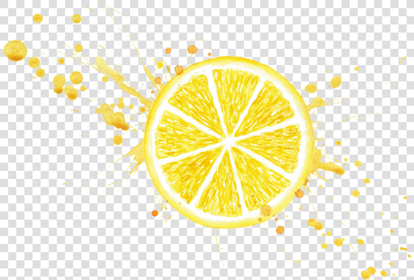  lemonslice  lemon  lemonade  lemons  yellow  citrus   Splatter Gold Splash Png  Transparent PngTransparent PNG