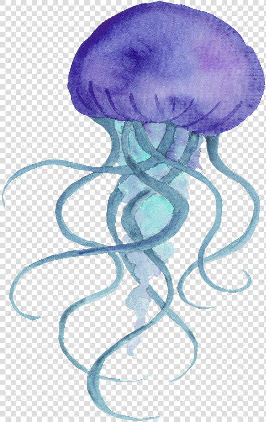 Purple Hand Painted Jellyfish Cartoon Watercolor Vector   Cartoon Watercolor Jellyfish  HD Png DownloadTransparent PNG