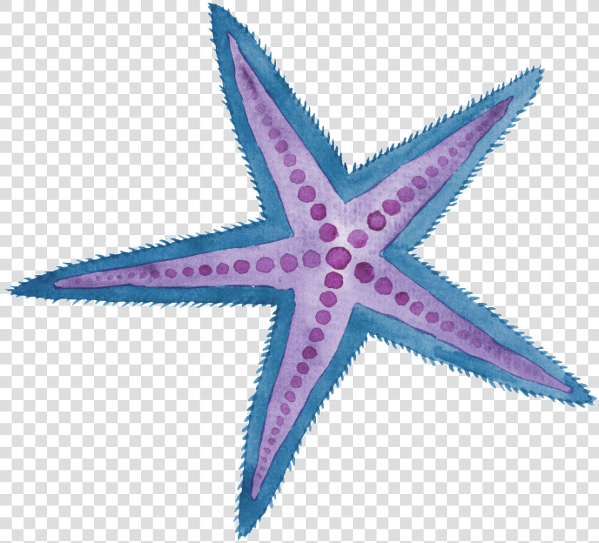 Two Color Hand Painted Starfish Cartoon Watercolor   Watercolor Star Fish Png  Transparent PngTransparent PNG