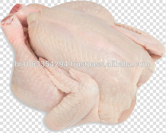 Brazil Halal Frozen Whole Chicken  Frozen Chicken Paws   Whole Chicken Frozen  HD Png DownloadTransparent PNG