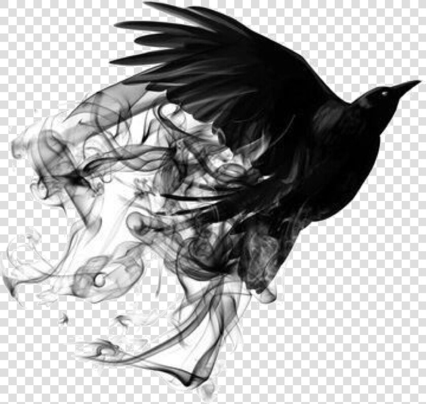  bird  smoke  freetoedit   Black Smoke Png Bird  Transparent PngTransparent PNG