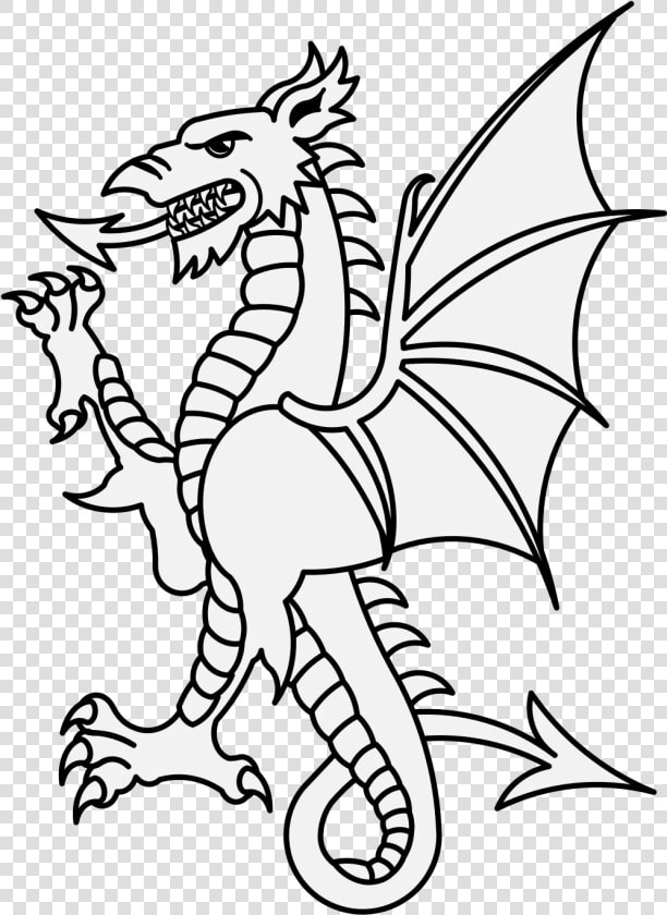 Wyvern Png  Transparent PngTransparent PNG