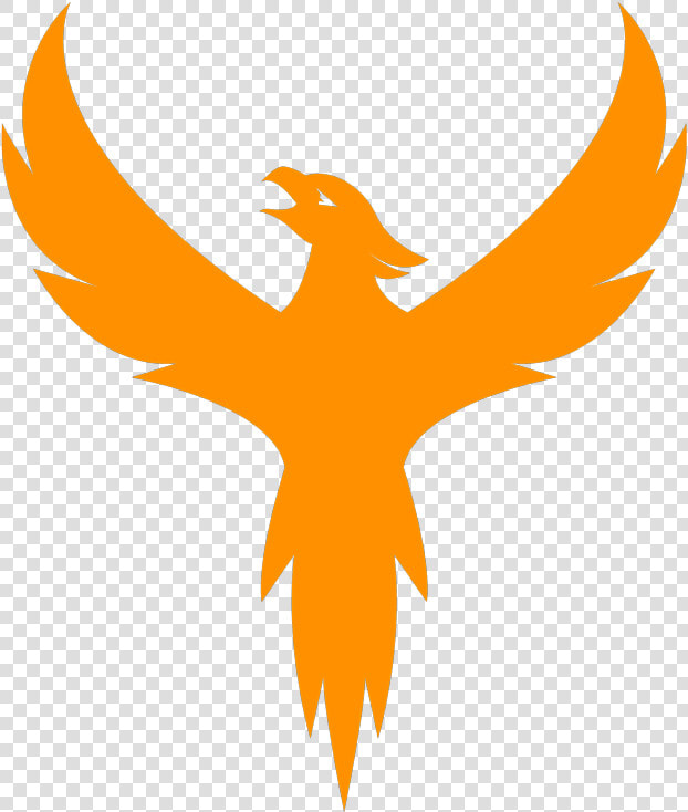 Logo Png Fire Bird  Transparent PngTransparent PNG