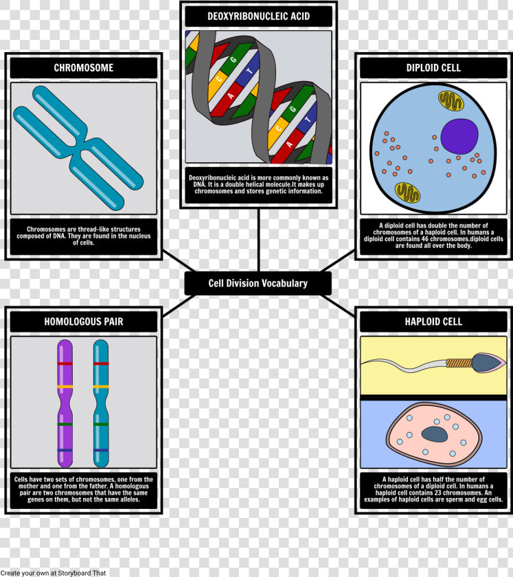 Plot Structure Of The Strange Case Of Dr Jekyll And  HD Png DownloadTransparent PNG