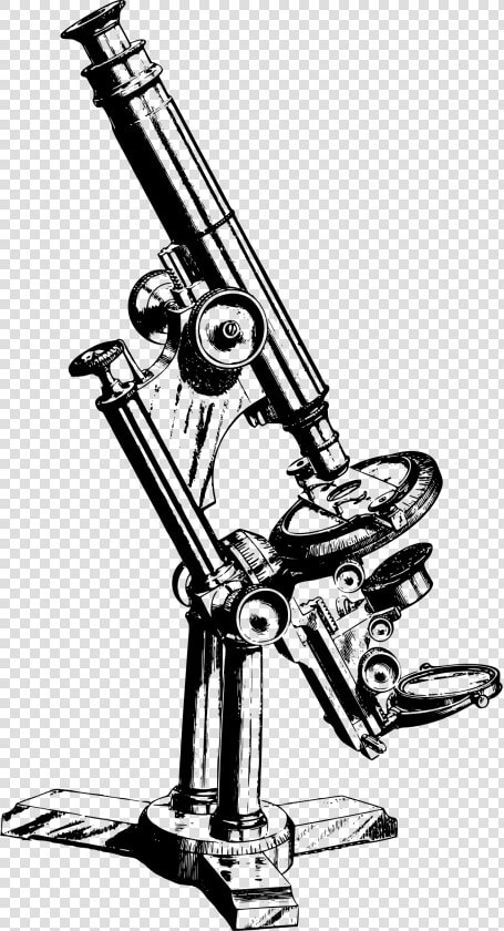 Vintage Microscope   Microscope Drawings  HD Png DownloadTransparent PNG