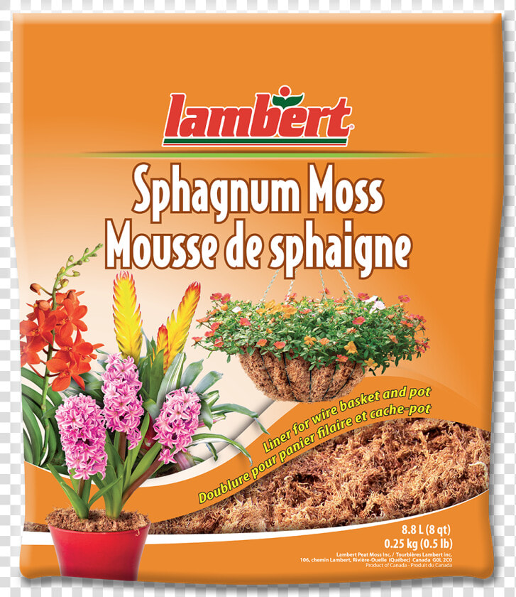 Mousse De Sphaigne  HD Png DownloadTransparent PNG